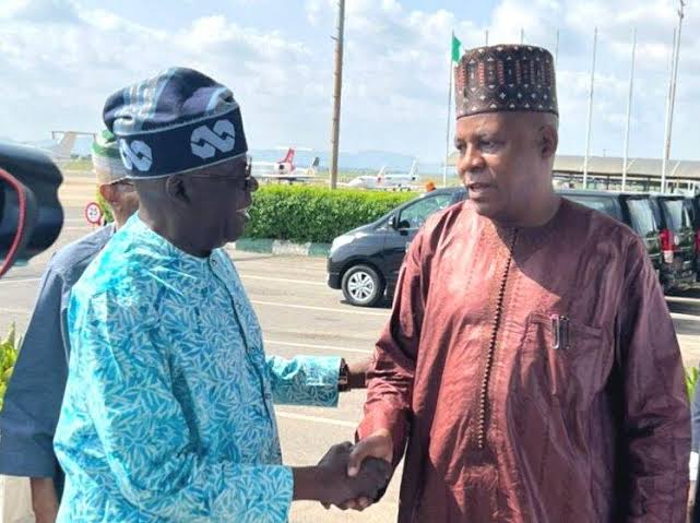 Read more about the article Tinubu picked Shettima for our common good