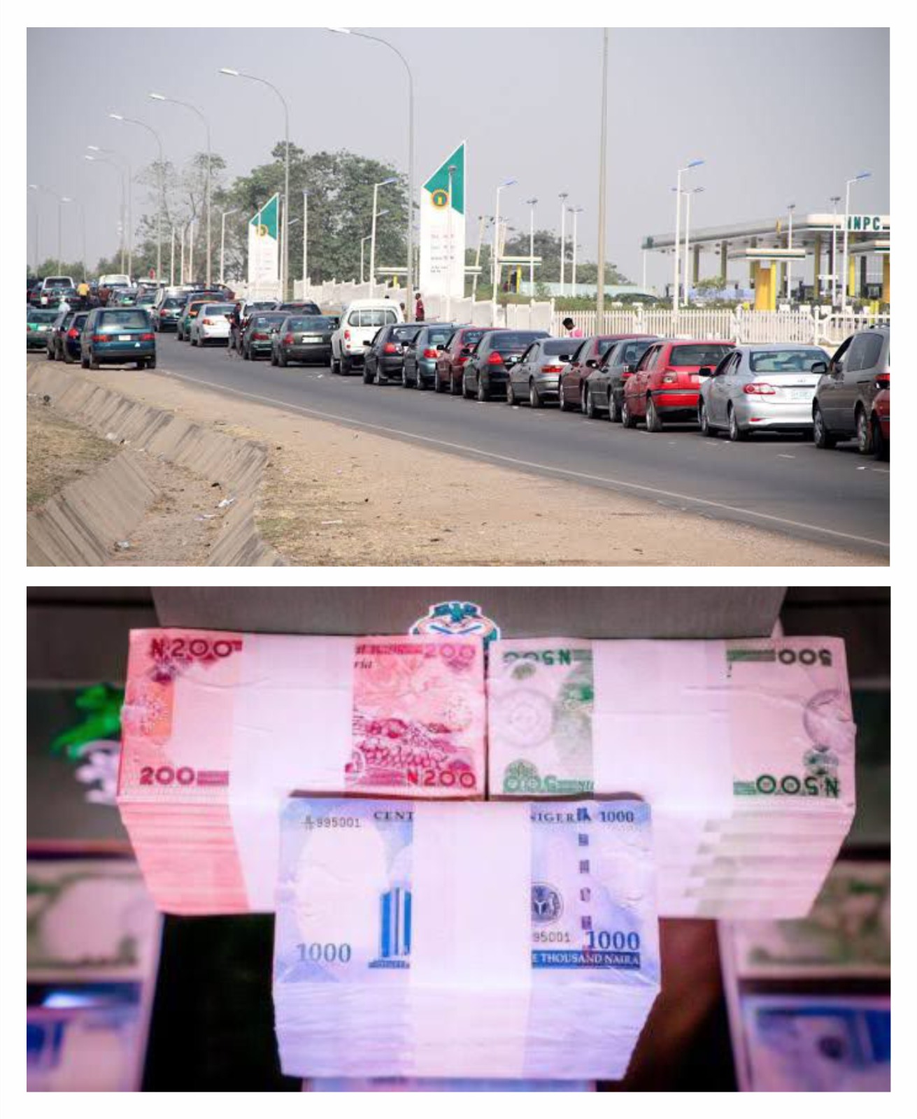 Read more about the article Tinubu appeals to Nigerians for calm over fuel, new Naira notes scarcity