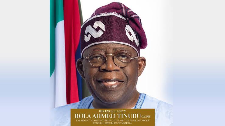 Read more about the article Tinubu’s Steady Progress in Power Sector