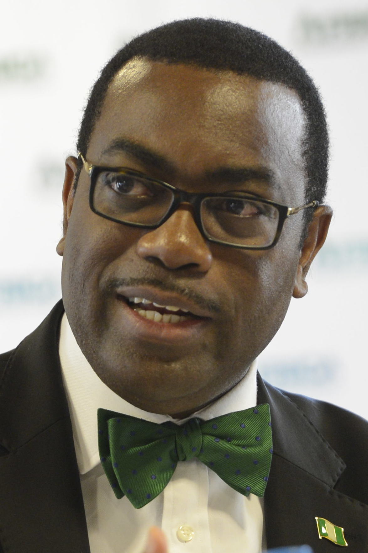 You are currently viewing AKINWUMI ADESINA’S CLAIMS ON NIGERIA’S GDP PER CAPITA: THE FACTS TELL A DIFFERENT STORY